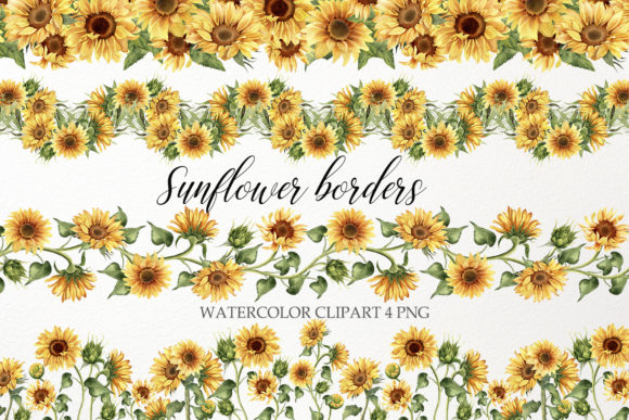 Sunflower Border Clipart: Watercolor PNG for Designers