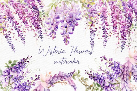 Watercolor Wisteria Clipart: A Designer's Guide to Floral Elegance