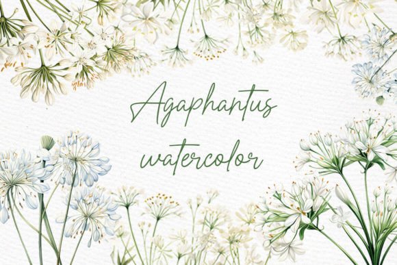 White Wild Flowers Clipart: Elegant Watercolor Elements